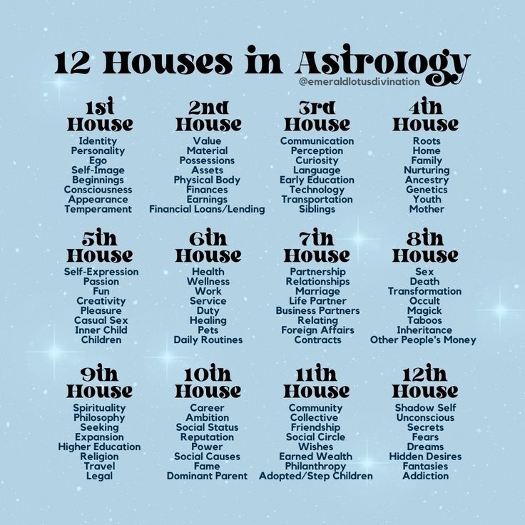 the twelve houses in astrology