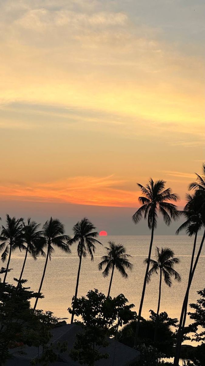 palm trees line the beach as the sun sets over the ocean in the distance,