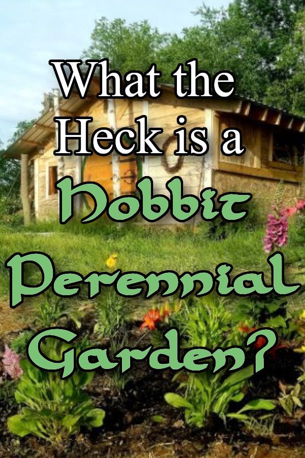 what the heck is a hobbit premnal garden? with an image of a house in the background