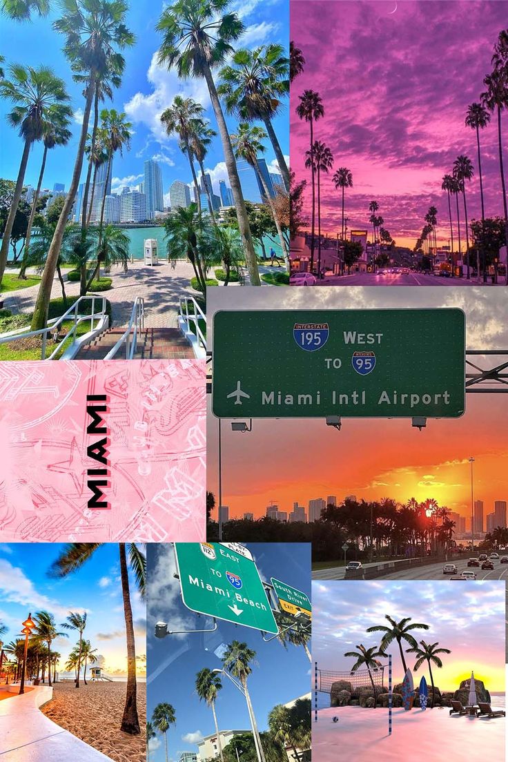 multiple images of palm trees and the miami sign in pink, blue, green, yellow