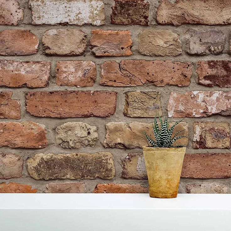 a potted plant sitting on top of a white shelf next to a brick wall