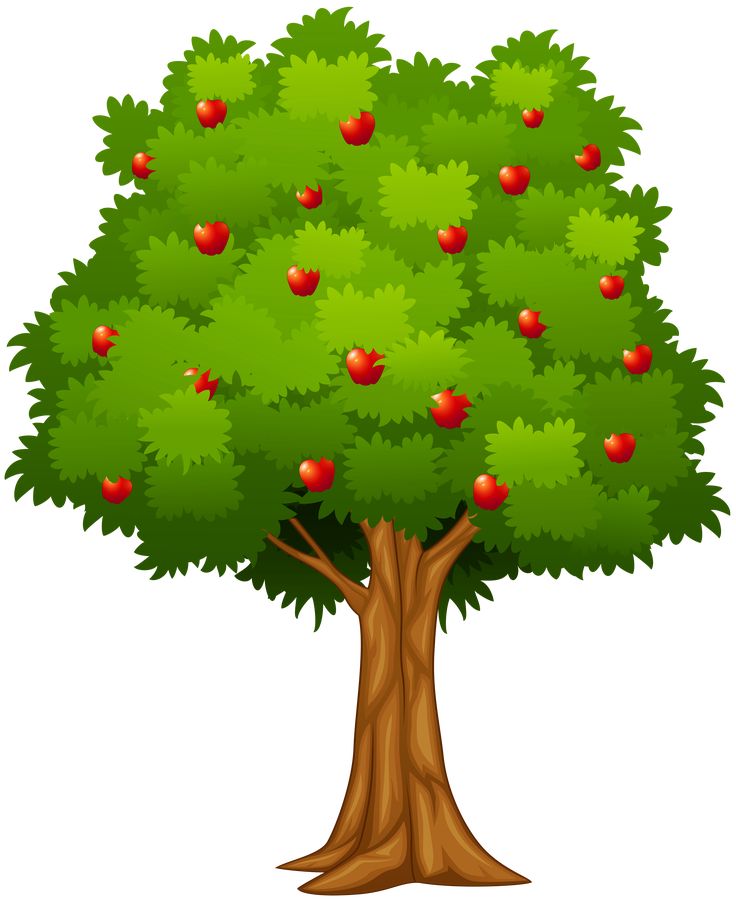 an apple tree with green leaves and red apples