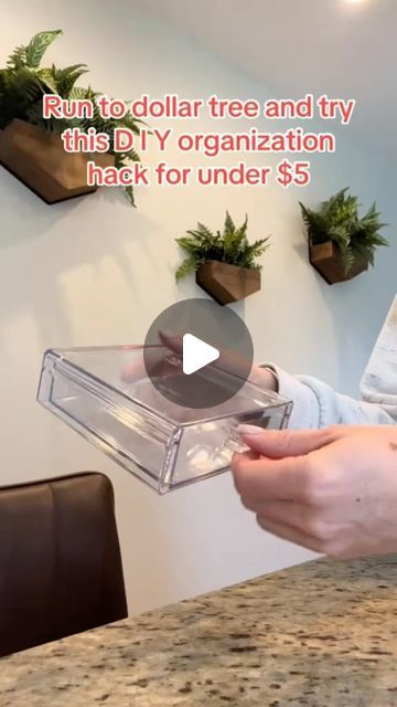 a person holding a plastic container with plants in it on top of a kitchen counter