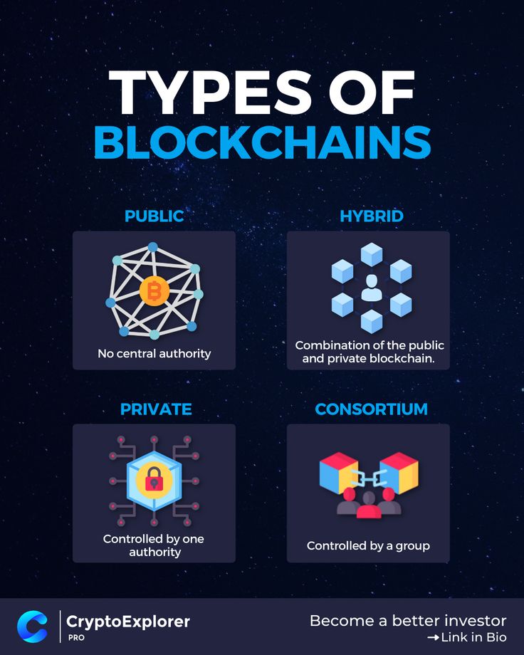 the types of blockchains