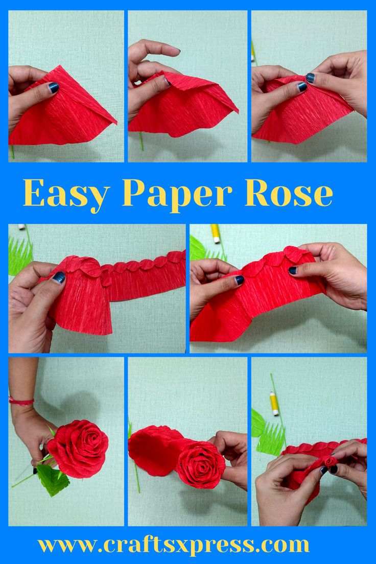 step by step instructions on how to make an easy paper rose