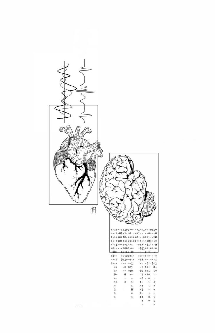 an image of the human heart and brain in black and white with chinese characters on it