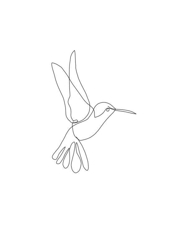 a single line drawing of a hummingbird flying in the air with its wings spread