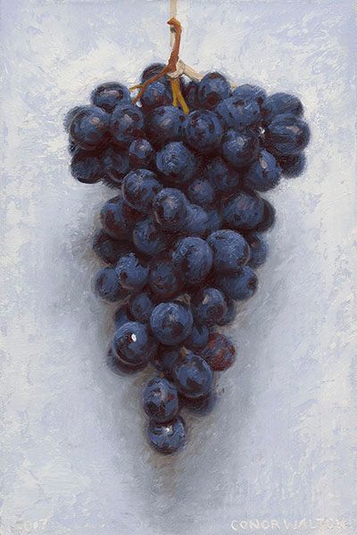 a painting of blue grapes hanging from a string