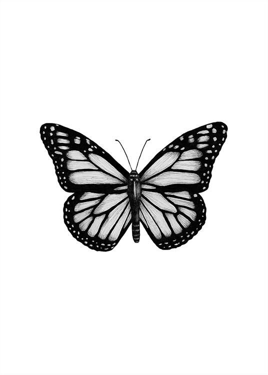 a black and white photo of a butterfly