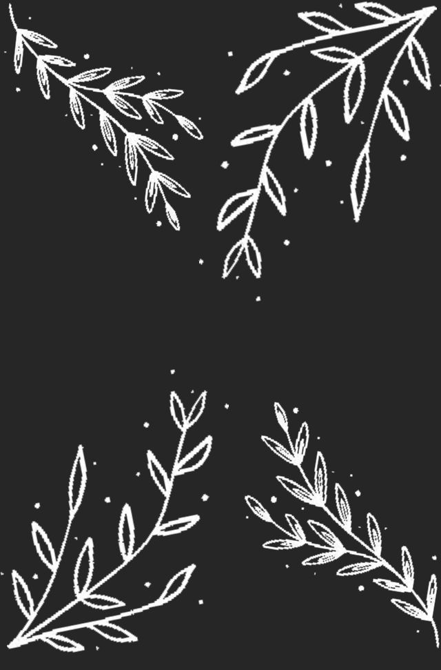 three hand drawn leaves on a black background