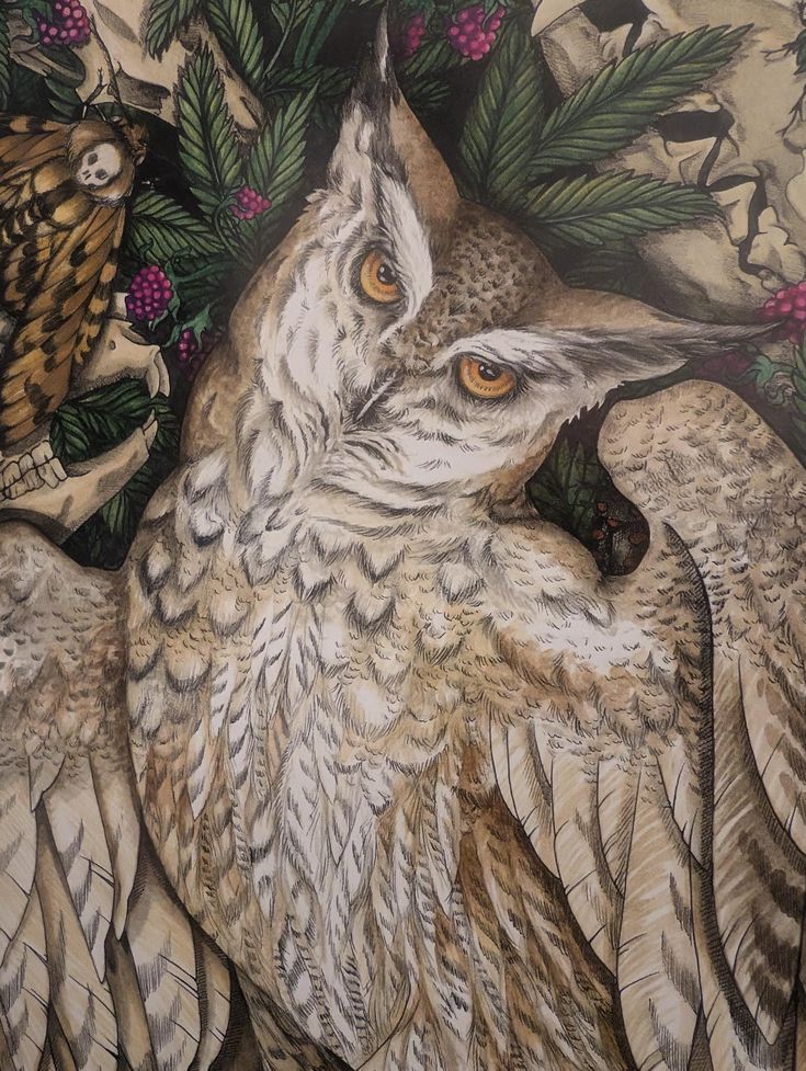 an owl is surrounded by other birds and flowers in this painting, it appears to be painted with acrylic paint