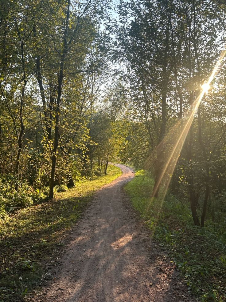 the sun shines brightly through the trees on a dirt road