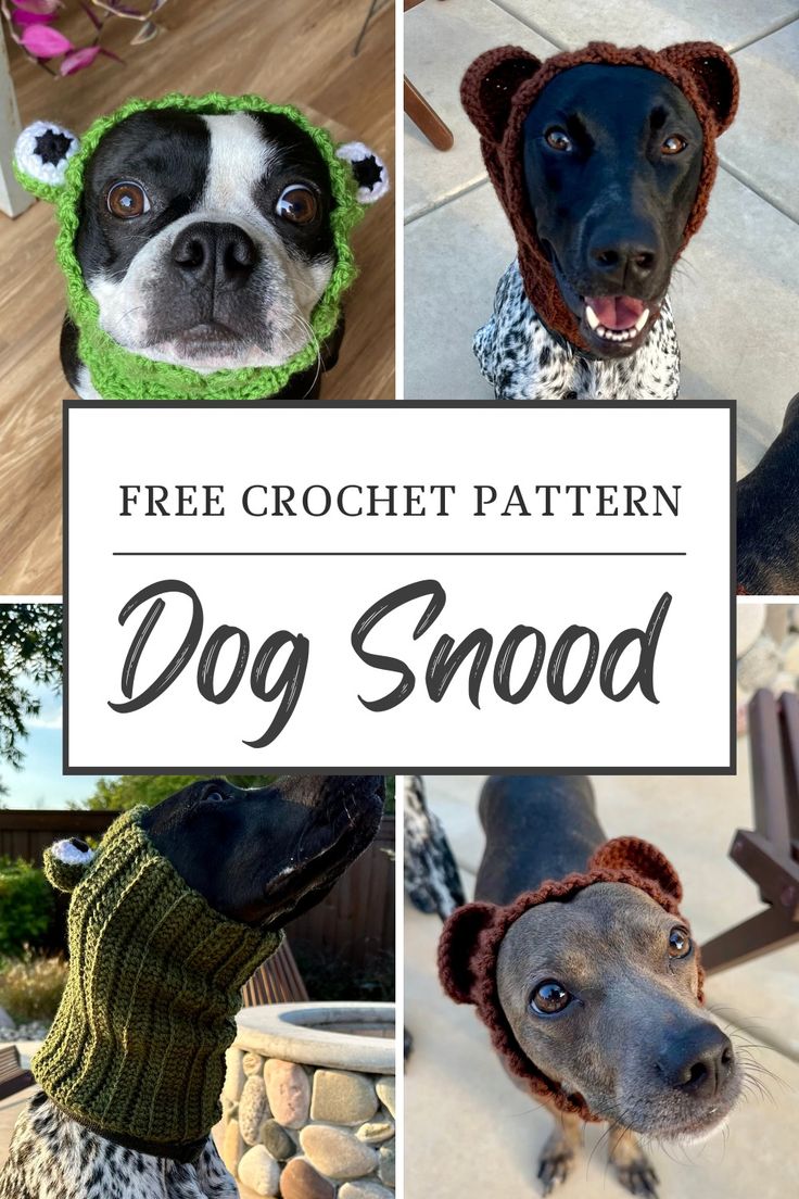 four pictures of dogs wearing hats and scarves with text overlay that says free crochet pattern dog snood