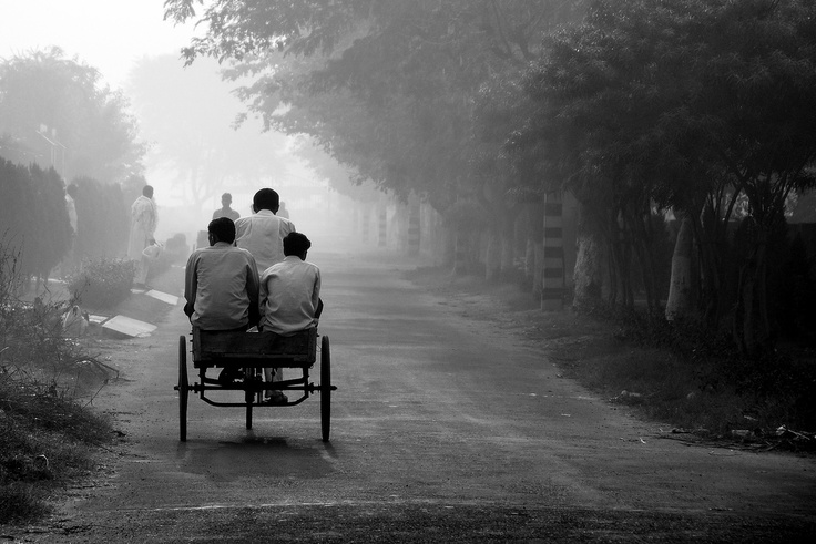 three people sitting on a bench in the middle of a road with trees and bushes