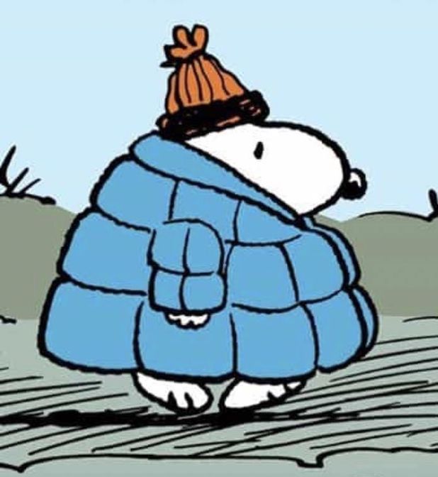 a cartoon character wearing a blue coat and a brown hat is walking in the snow