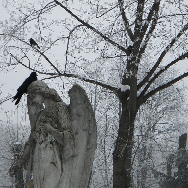 a black bird sitting on top of an angel statue next to a tree with no leaves