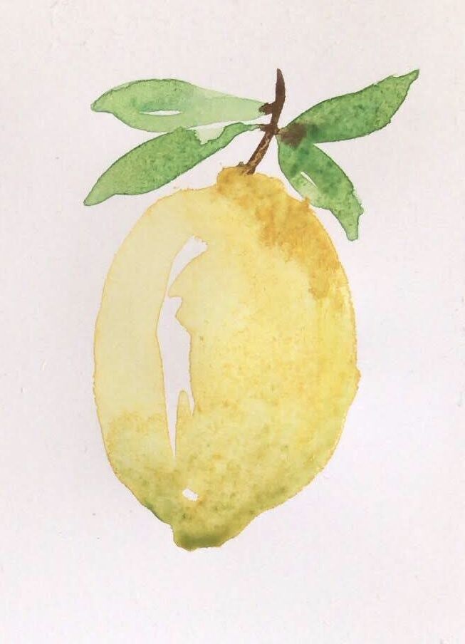 a drawing of a lemon with green leaves on it