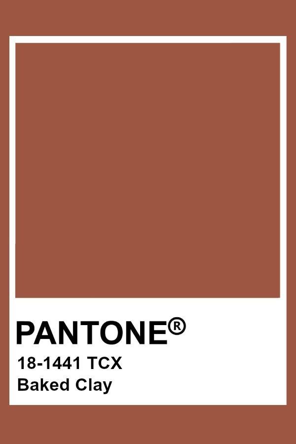 Terra Cotta Pantone, Terracotta Pantone, Pantone Tcx, Pantone Color Chart, Pantone Swatches, Pantone Palette, Baked Clay, Pantone Colour Palettes, Pantone Colors