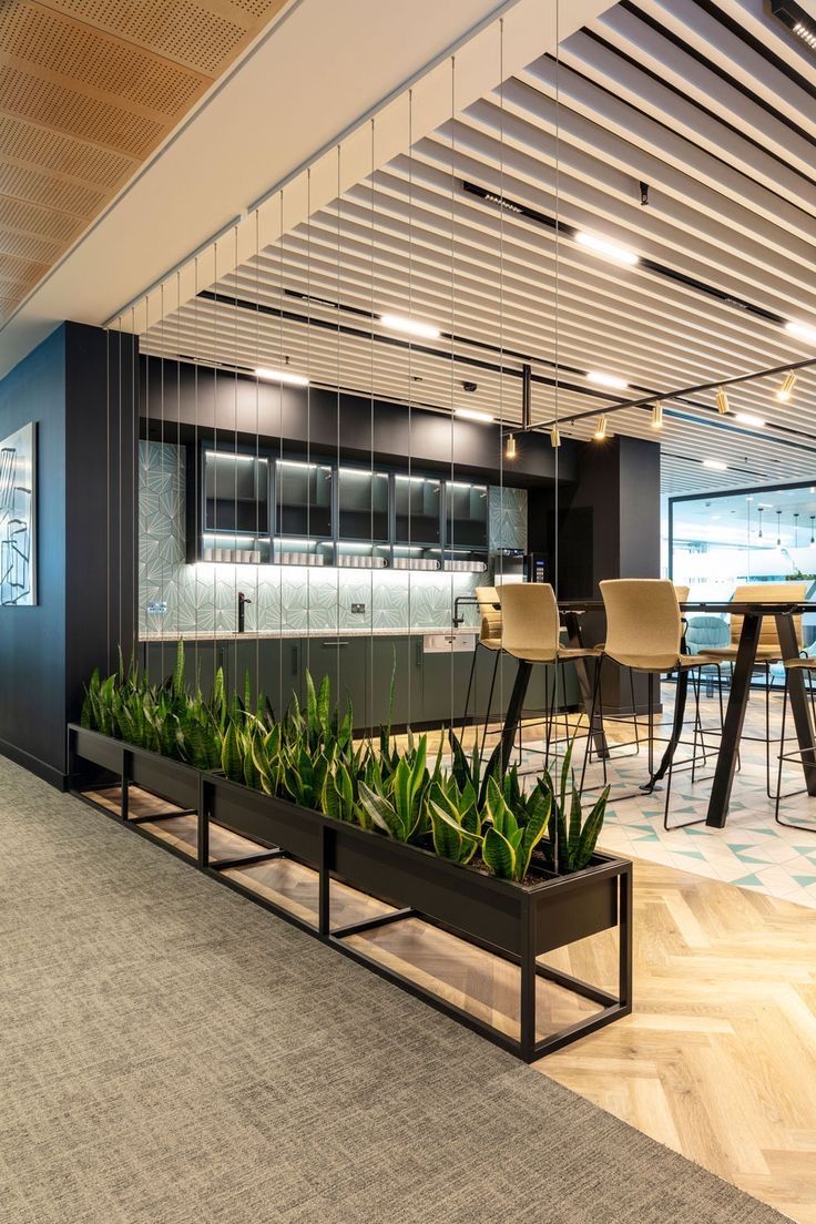 an office with plants in the middle of it and chairs at the bar behind them