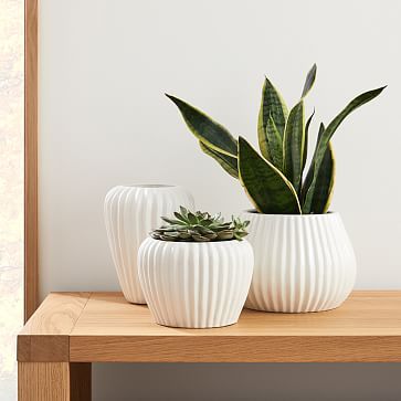 two white vases with plants in them on a table