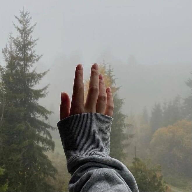 a person with their hand up in the air, looking out at trees on a foggy day