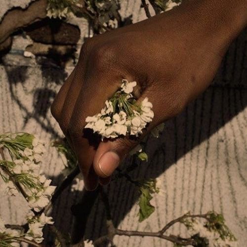 a person holding flowers in their hand on a tree branch with other branches around them