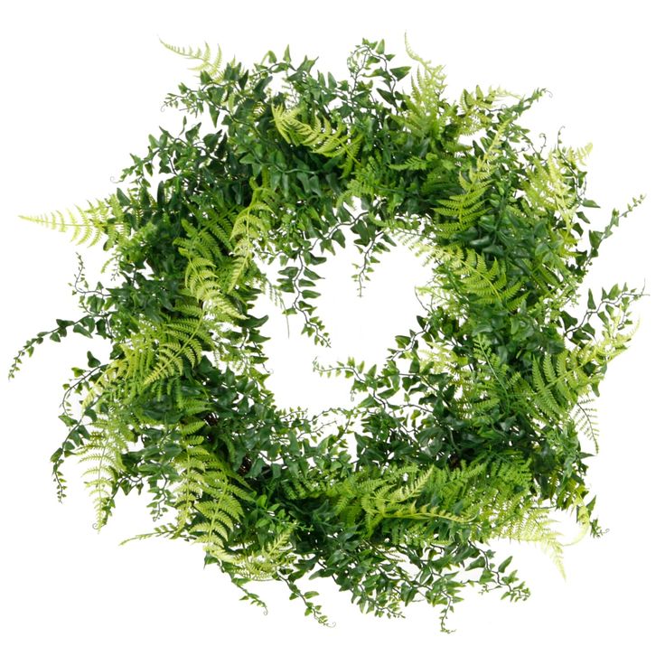 a green wreath made out of leaves on a white background