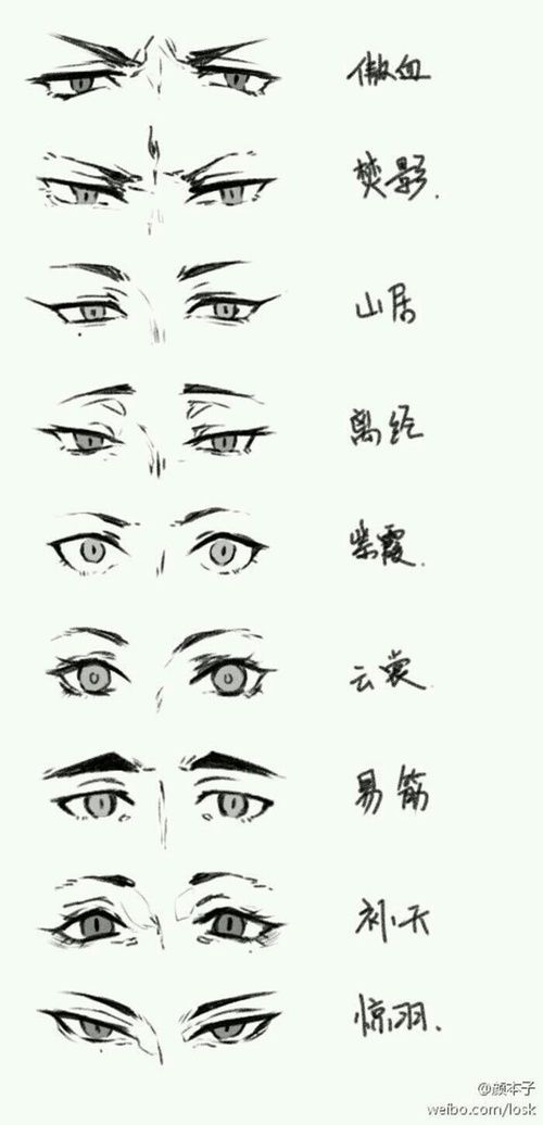 an image of various eyes with chinese writing on them