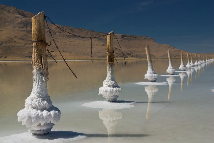 there are many poles sticking out of the water that is frozen and covered with snow