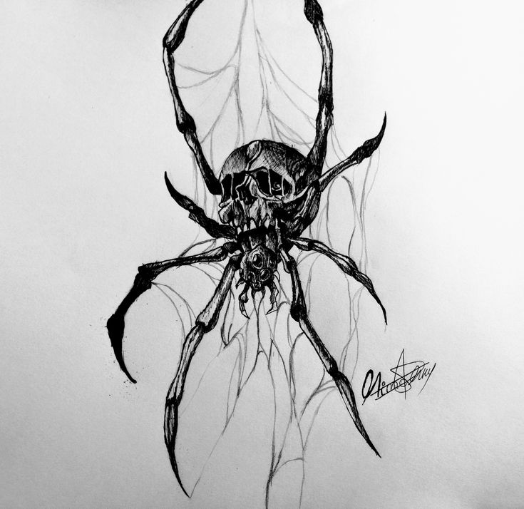 a black and white drawing of a spider with a skull on it's back