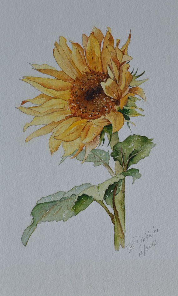 a watercolor painting of a sunflower