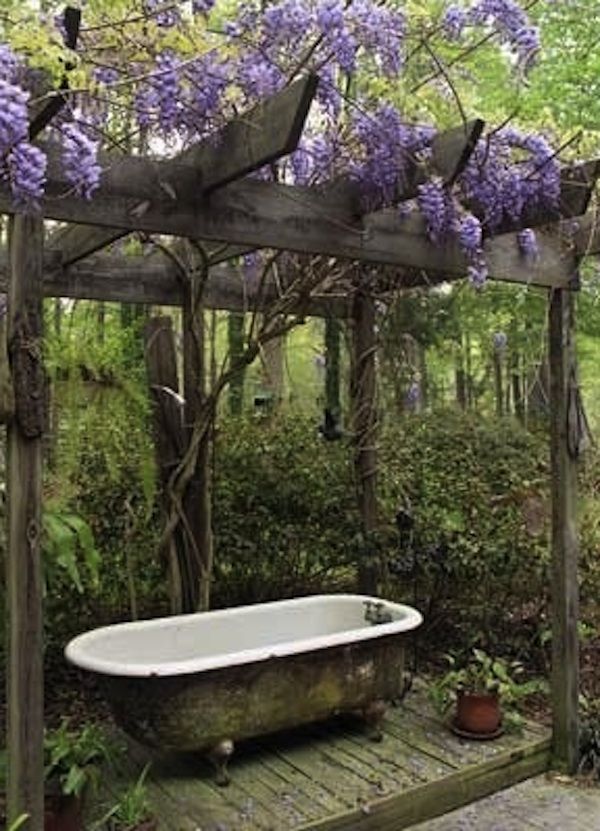 an old bathtub with purple flowers growing on the roof and in the background is a wooden pergolated area