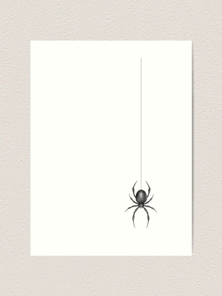 a black and white spider hanging from a string