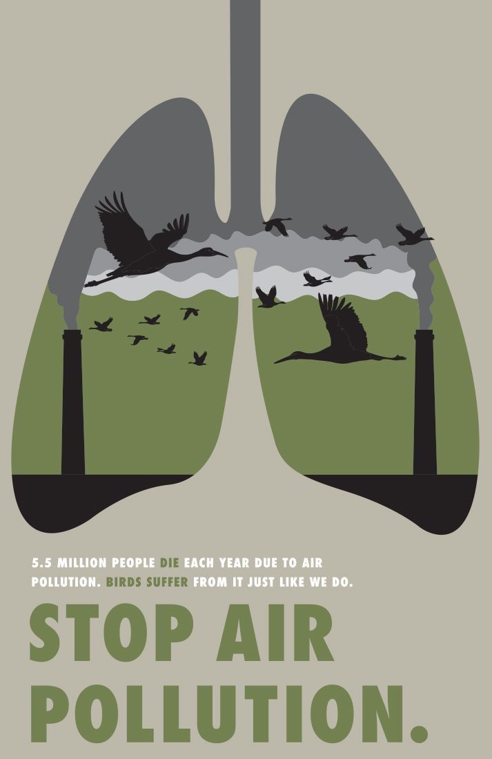 a poster with the words stop air pollution and birds flying in front of an open lungs