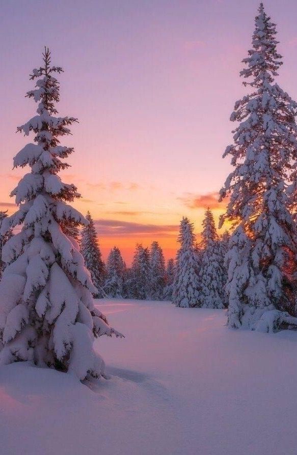 the sun is setting behind some snow covered trees in the wintertime landscape with pink and blue skies