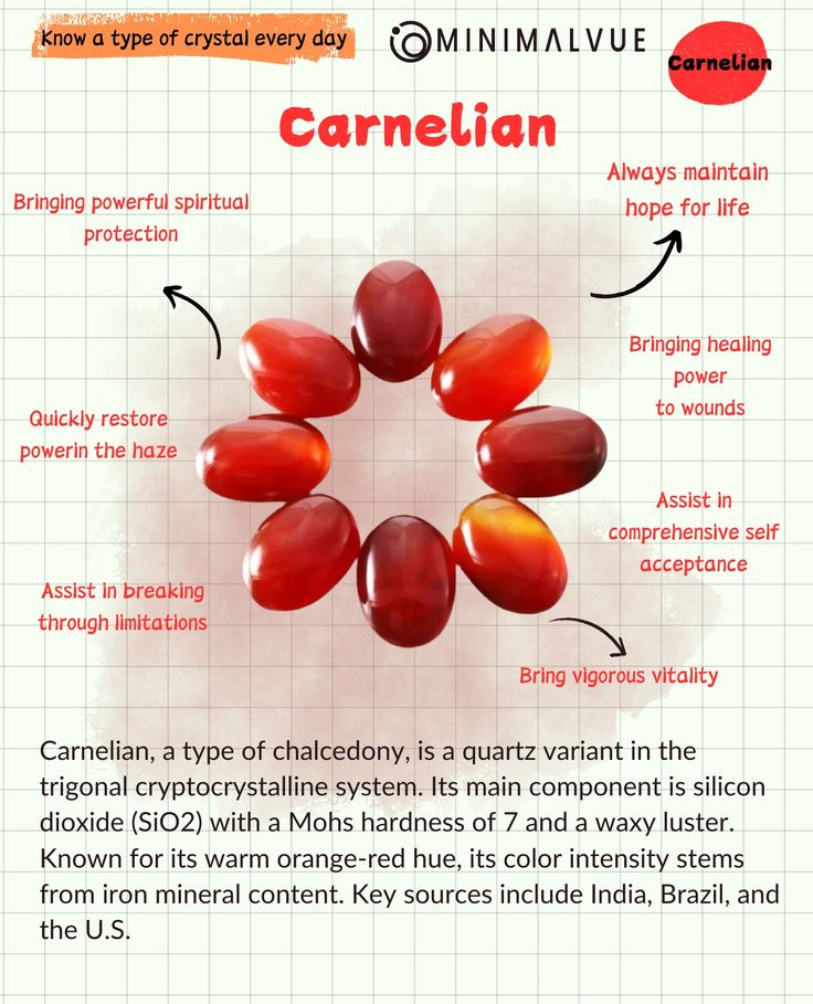 Know a type of ore every day 📒 Carnelian ✨ Vitality and Hope Carnelian, a variety of chalcedony, is known for its orange-red hue, influenced by iron minerals. Composed of silicon dioxide (SiO2) with a Mohs hardness of 7, it symbolizes vitality, protection, and hope. Major sources include India, Brazil, and the U.S.#Carnelian #Chalcedony #Minerals #Gemstones #Vitality #Protection #Hope #HealingCrystals #SelfAcceptance #Renewal #EnergyBoost #CrystalHealing #GemstoneFacts#crystalmeanings Olivine Crystal Meaning, Carnelian Crystal Meaning, Crystals Meanings, Natural Philosophy, Carnelian Crystal, Types Of Crystals, Carnelian Stone, Peace And Harmony, Crystal Meanings