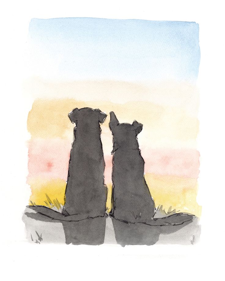 two dogs looking at each other in front of an orange, yellow and blue sky