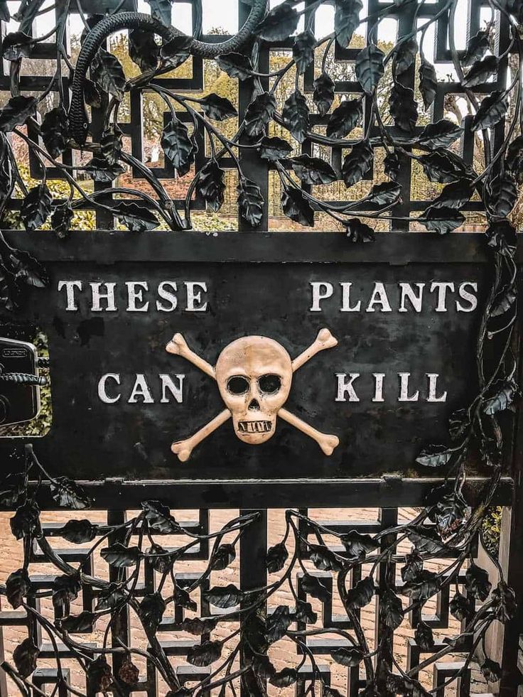 there is a sign that says these plants can kill with skull and crossbones on it