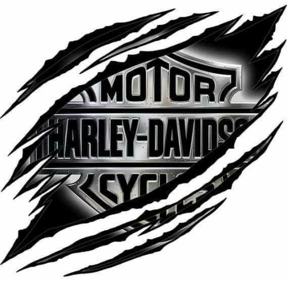 the logo for harley davidson's motorcycle company is shown in black and silver foil