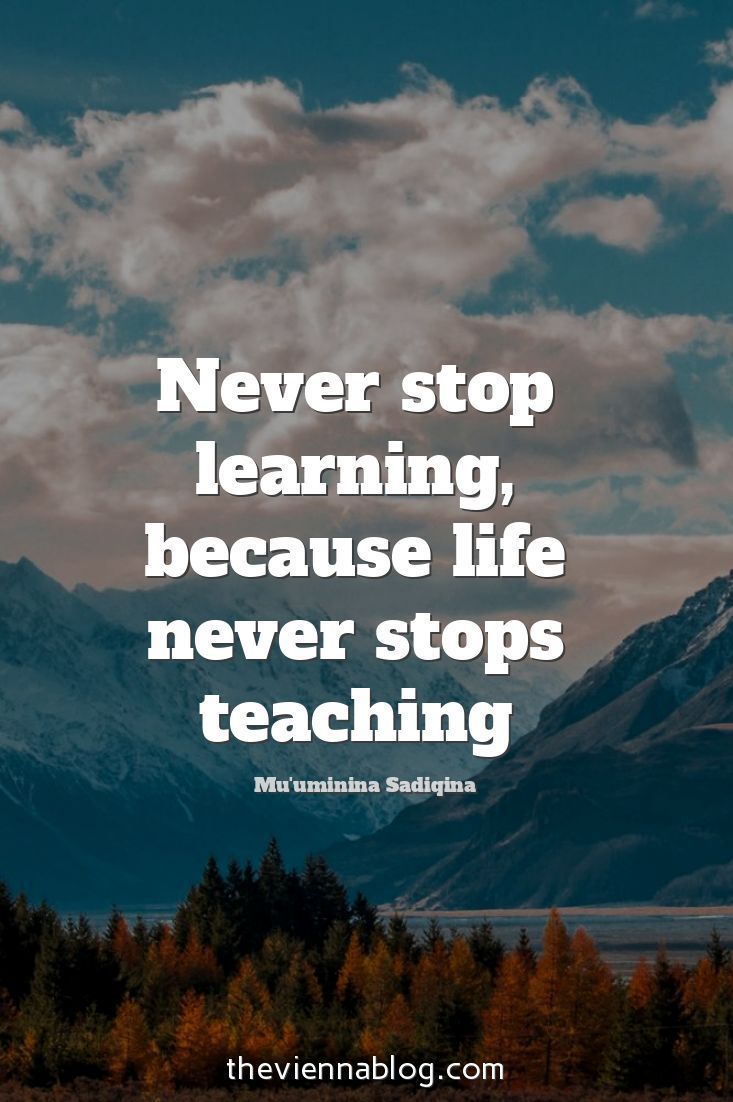 mountains with trees in the foreground and a quote about never stop learning, because life never stops teaching