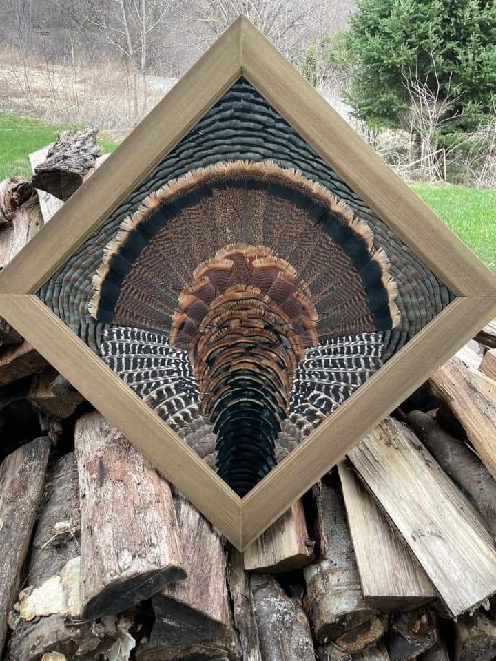 an image of a wooden structure made out of wood logs with a turkey in the center