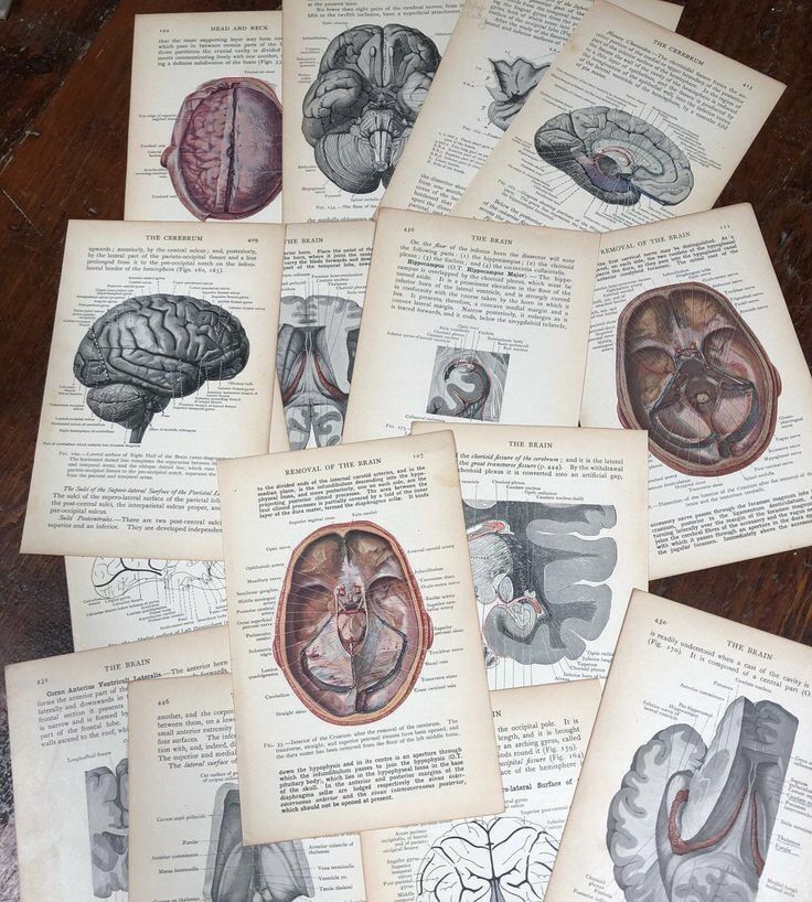 an old book with pictures of human organs on it