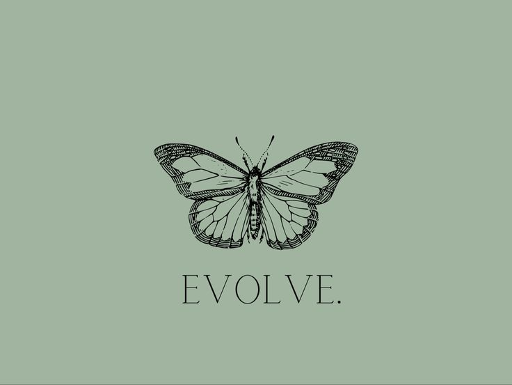 a butterfly with the word evlve written on it