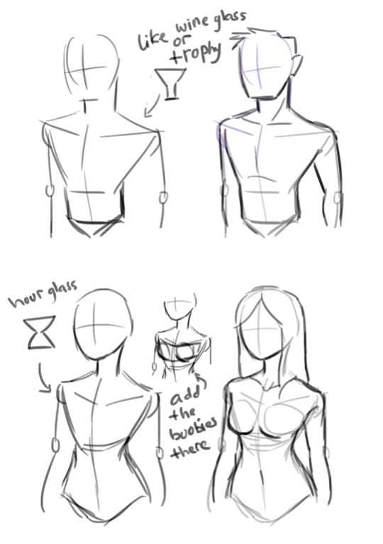 how to draw female torsos with different angles and body shapes, from the front view