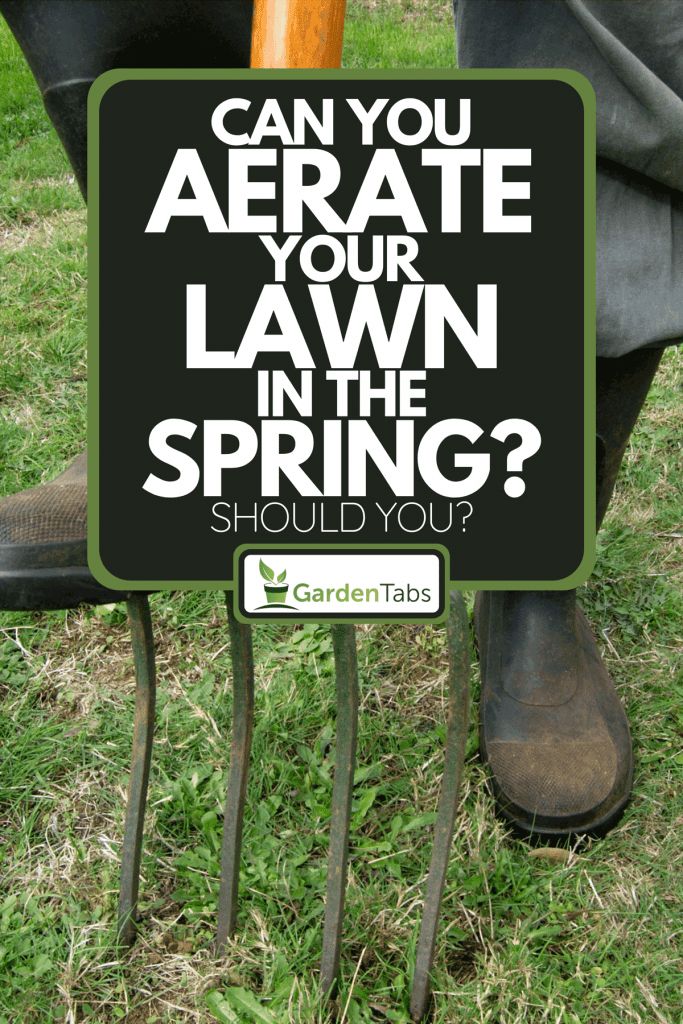 a sign that says can you aerate your lawn in the spring?