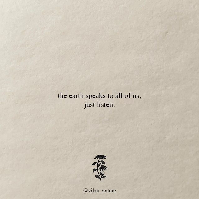 the earth speaks to all of us just listen on it's back cover with an image of a plant