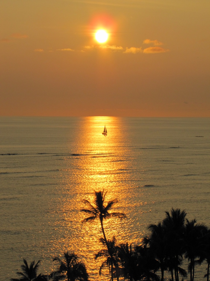 the sun is setting over the ocean with palm trees in front of it and a sailboat on the water