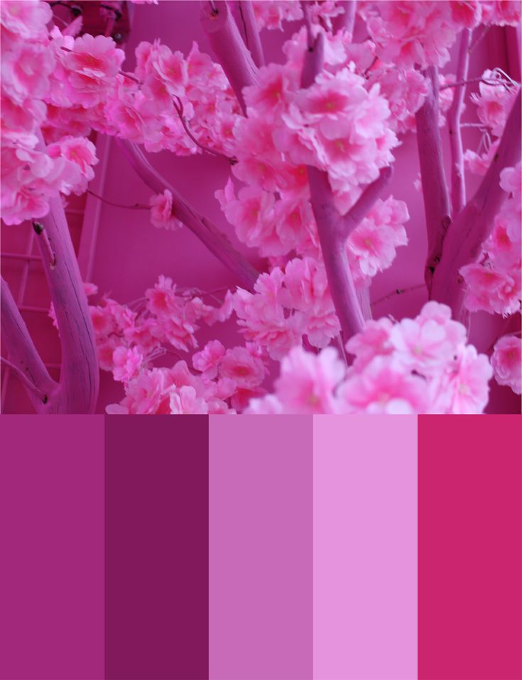 the color scheme is pink and purple