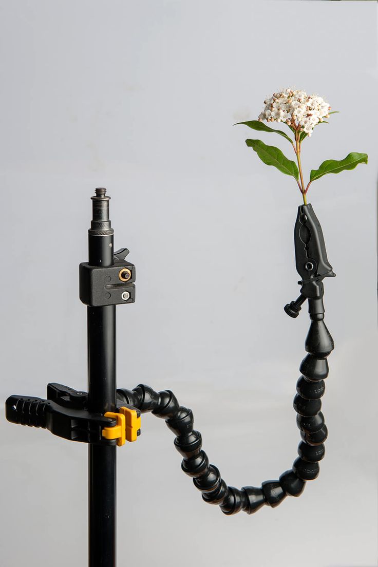 there is a flower that is on top of a tripod with a camera attached to it