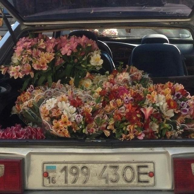 the back of a car with flowers in it